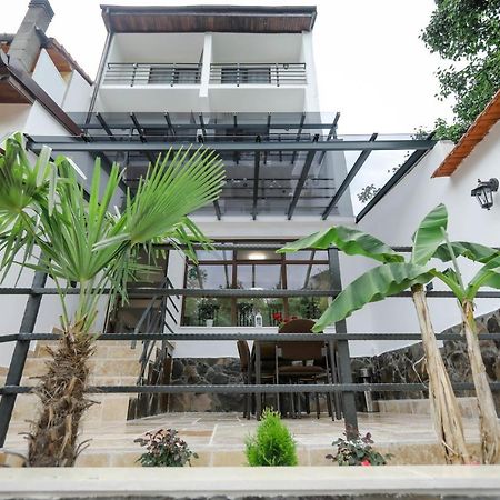Casa Marica Otel Băile Herculane Dış mekan fotoğraf